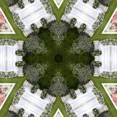 Rose leaf design concept ,Seamless geometry Circle Kaleidoscope Stock Footage 227526488