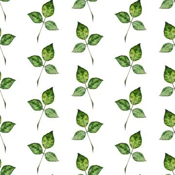 Rose leaf. Watercolor seamless pattern. Can be used for textile design, paper Stock Illustration