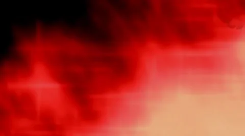 Rose leafs Stock-Footage 908767