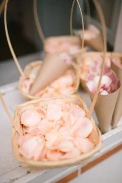 Rose leafs Stock Photos