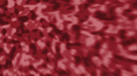 Rose Light Stock Footage 36054784