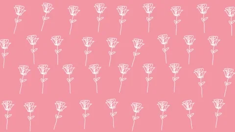 Rose line art pattern on peach pink background, motion Stock Footage 274338559