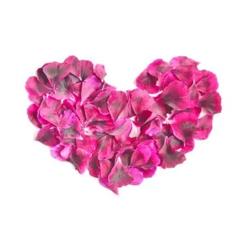 Rose In Love Shape. Stock Photos