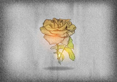 Rose n the texture Illustrazione stock