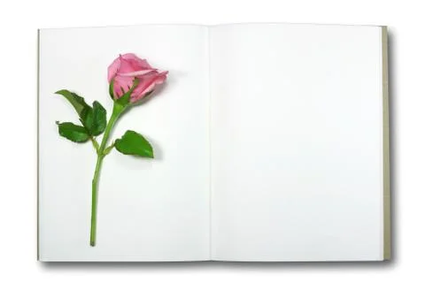 Rose on note book, isolate Stock Photos
