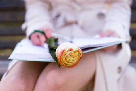 Rose on the notebook in the woman’s hands 스톡 사진