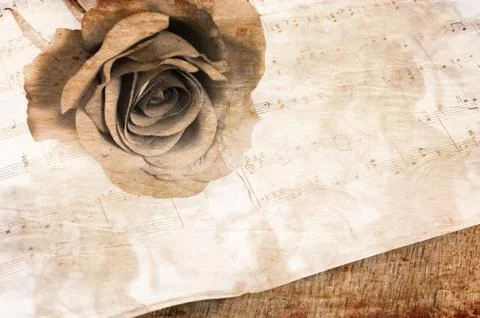 The rose on notebooks with notes Illustrazione stock