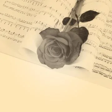 The rose on notebooks with notes Illustrazione stock