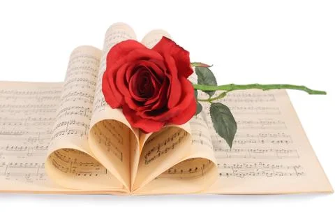 The rose on notebooks with notes Stock Photos