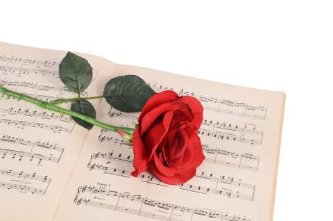 The rose on notebooks with notes Stock Photos