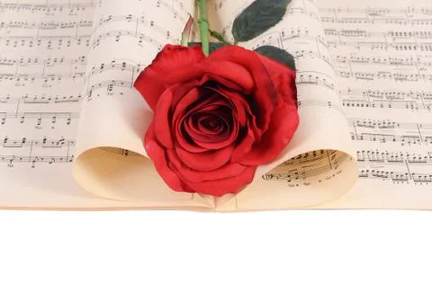 The rose on notebooks with notes Stock Photos