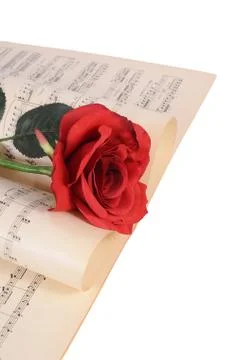The rose on notebooks with notes Stock Photos