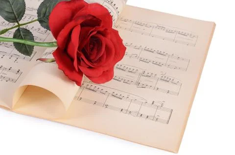 The rose on notebooks with notes Stock Photos