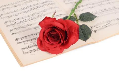 The rose on notebooks with notes Stock Photos
