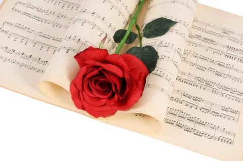 The rose on notebooks with notes Stock Photos