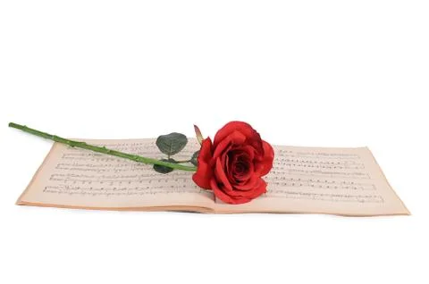The rose on notebooks with notes Stock Photos