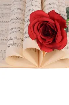 The rose on notebooks with notes Stock Photos