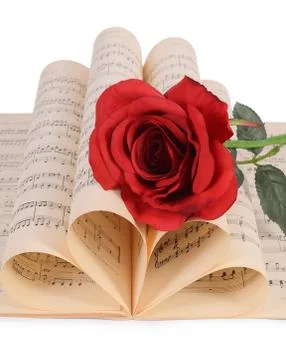 The rose on notebooks with notes Stock Photos