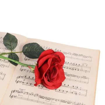 The rose on notebooks with notes Stock Photos