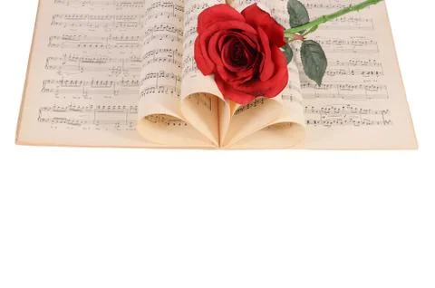 The rose on notebooks with notes Foto stock