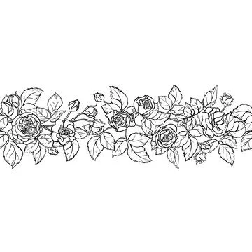 Rose Outline Horizontal Seamless Pattern. Stock Illustration