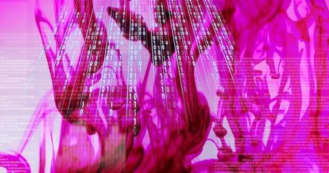 Rose over computer code, program coding and technology concept Photos