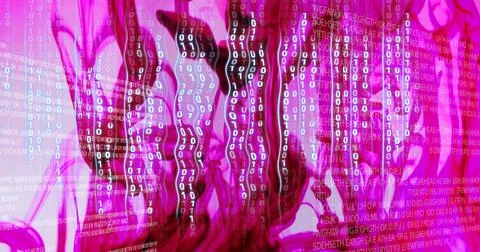 Rose over computer code, program coding and technology concept Stock Photos