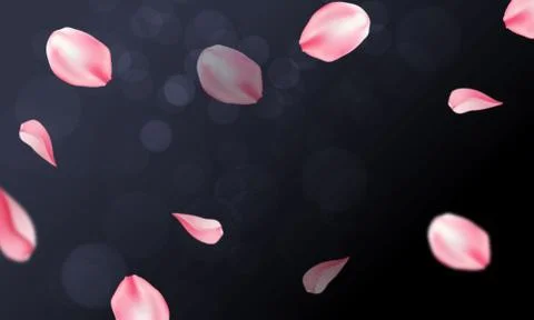 Rose pallet background Stock Illustration