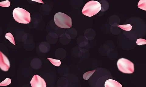 Rose Pallet Pattern Stock Illustration