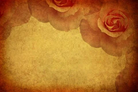 Rose on paper Stock Illustration