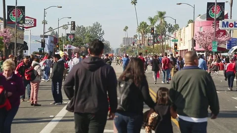 Rose Parade aftermath Stock Footage 85374674
