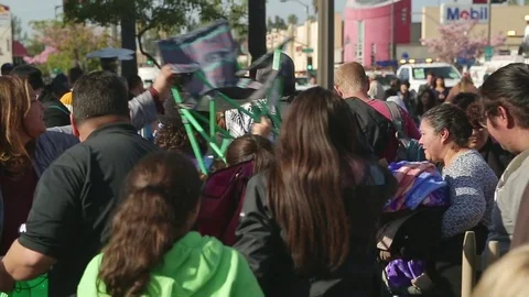 Rose Parade Crowd Stock Footage 85338336