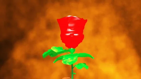 Rose pastic Stock Footage 871021