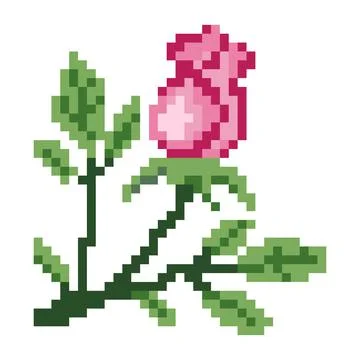 Rose pattern. Pixel rose flower image. Vector Illustration of pixel art. Stock Illustration