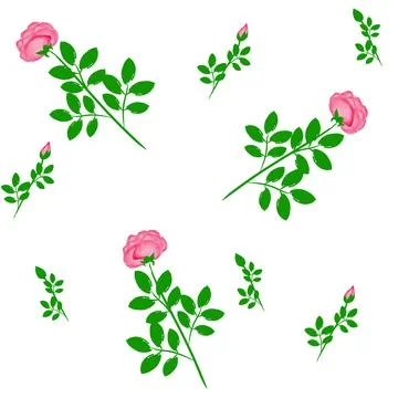 Rose pattern on a white background. Abstract, seamless pattern. Floral, summ Stock Illustration