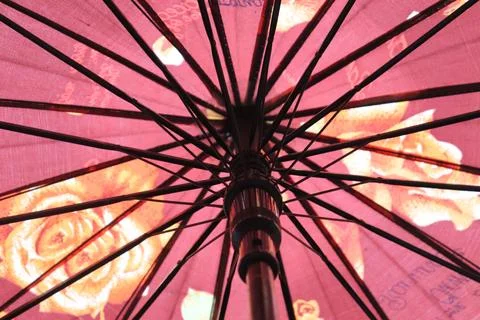 A rose patterned pink umbrella opens to shield from rain and sun effectively Stock Photos