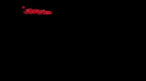 Rose Petal Stock Footage 903370