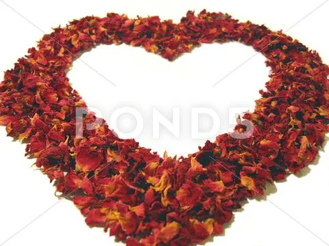 Rose petal heart Stock Photos