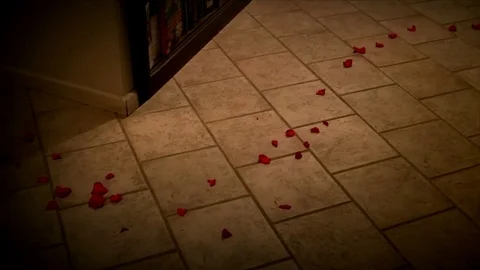 Rose petal trail Stock-Footage 84533890