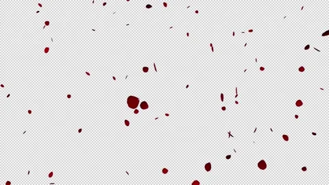 Rose Petal on Transparent Background, Full HD 스톡 동영상 172124437