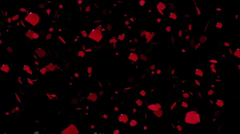 Rose Petals 01 Stock Footage 1118050