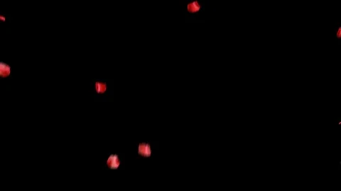 Rose Petals 04 스톡 동영상 104138905