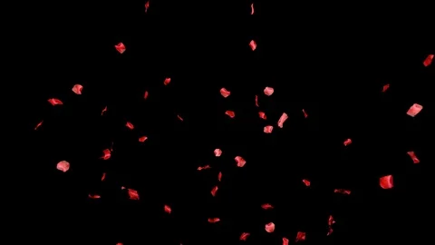 Rose Petals 06 Vidéo 104139759
