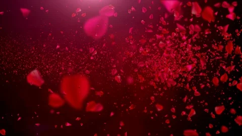 Rose Petals 4K Stock Footage 96371738