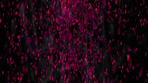 Rose petals abstract background widescreen Stock Footage 200915409