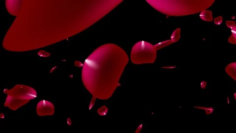 Rose petals with Alpha Channel Stock Footage 83647285