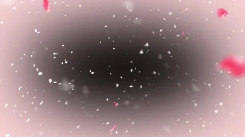 Rose petals and glitter falling on pink background Stock Footage 337533906