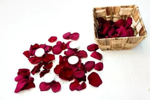 Rose petals arranged in a pattern on a white background. Stock Photos