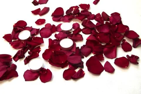 Rose petals arranged in a pattern on a white background. Stock Photos