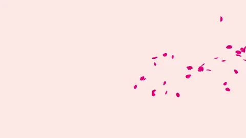 Rose Petals on Background. Stock Footage 240366047